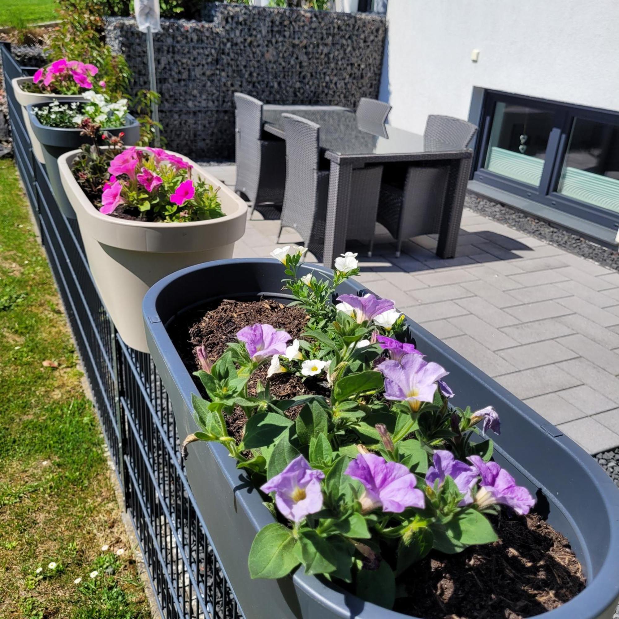 Eifelherz Mit Sonnenterrasse Nideggen Esterno foto